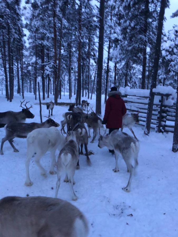 Hotel Ahkula House Lemmenjoki Esterno foto